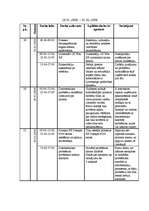 Prakses atskaite 'Kvalifikācijas prakses atskaite', 19.