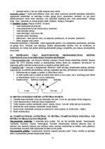 Konspekts 'Politoloģija', 13.