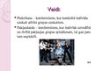Prezentācija 'Konformisms', 5.