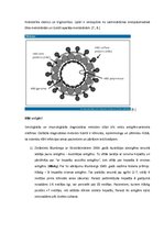 Konspekts 'Vīrusu hepatīts B', 5.