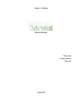 Referāts 'Datorvīrusi', 1.