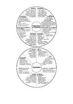 Referāts 'Pašaizsardzība', 12.