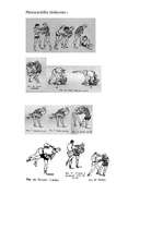 Referāts 'Pašaizsardzība', 13.