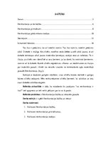 Referāts 'Reinkarnācija un ētika', 2.