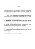 Referāts 'Modes tendences latviešu valodā. Slengs', 5.