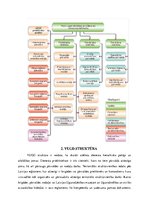 Konspekts 'Valsts ugunsdzēsības un glābšanas dienests', 5.