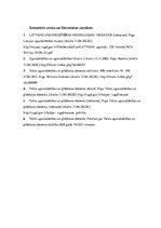 Konspekts 'Valsts ugunsdzēsības un glābšanas dienests', 9.