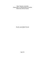 Referāts 'Ķēžu teorija', 1.