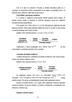 Diplomdarbs 'SIA "Elektroserviss - projekts" saimnieciskās darbības pašreizējais stāvoklis un', 42.