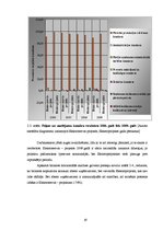 Diplomdarbs 'SIA "Elektroserviss - projekts" saimnieciskās darbības pašreizējais stāvoklis un', 67.