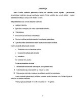 Referāts 'Kontrabanda Latvijā', 2.