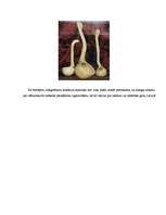 Referāts 'Grebšana', 11.