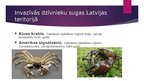 Prezentācija 'Invazīvās dzīvnieku sugas Latvijā', 5.