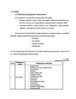 Referāts 'Nozares un produkta analīze foto pakalpojumu nozarei', 10.