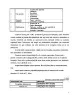 Referāts 'Nozares un produkta analīze foto pakalpojumu nozarei', 11.