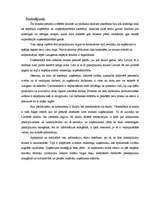 Referāts 'Nozares un produkta analīze foto pakalpojumu nozarei', 23.