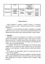 Referāts 'Atmiņa', 6.