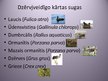 Prezentācija 'Dzērvjveidīgo kārta', 2.