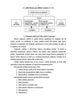 Referāts 'Finanšu analīze un koeficienti', 5.