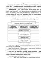 Referāts 'Finanšu analīze un koeficienti', 6.