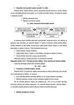 Referāts 'Finanšu analīze un koeficienti', 12.