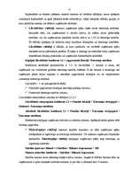 Referāts 'Finanšu analīze un koeficienti', 13.