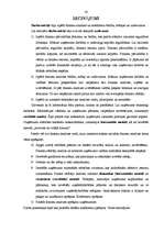 Referāts 'Finanšu analīze un koeficienti', 24.