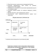 Referāts 'Перспективы выхода компании "Евросеть" на рынок Латвии', 9.