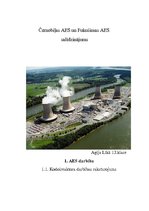 Referāts 'Fukušimas un Černobiļas atomelektrostaciju salīdzinājums', 1.
