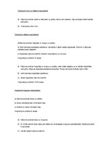 Paraugs 'Vispārattīstošo vingrinājumu komplekss', 2.