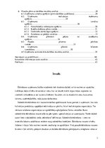 Biznesa plāns 'Peldoša kafejnīca', 3.