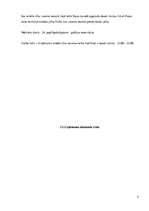 Biznesa plāns 'Peldoša kafejnīca', 5.