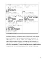 Biznesa plāns 'Peldoša kafejnīca', 27.