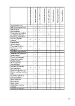 Biznesa plāns 'Peldoša kafejnīca', 29.