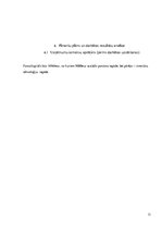 Biznesa plāns 'Peldoša kafejnīca', 31.