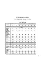 Biznesa plāns 'Peldoša kafejnīca', 33.