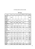 Biznesa plāns 'Peldoša kafejnīca', 39.