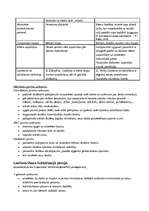 Konspekts 'Holistiskā pieeja latviešu valodas mācīšanas metodikā', 2.