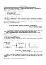 Konspekts 'Holistiskā pieeja latviešu valodas mācīšanas metodikā', 4.