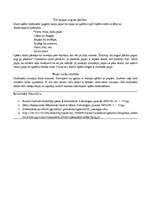 Konspekts 'Holistiskā pieeja latviešu valodas mācīšanas metodikā', 9.