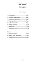 Biznesa plāns 'Jaundibināts uzņēmums', 1.