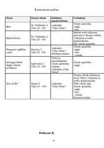 Biznesa plāns 'Jaundibināts uzņēmums', 14.