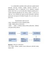 Eseja 'Valsts robežsardzes personāla vadības politika', 15.