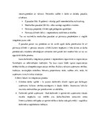 Eseja 'Valsts robežsardzes personāla vadības politika', 17.