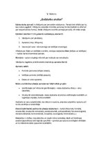 Konspekts 'Vitolds Valeinis "Daiļdarba analīze"', 1.