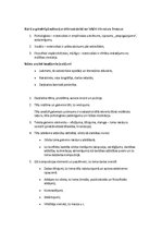 Konspekts 'Vitolds Valeinis "Daiļdarba analīze"', 2.