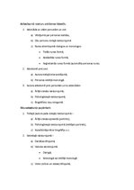 Konspekts 'Vitolds Valeinis "Daiļdarba analīze"', 6.