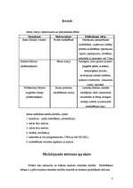 Referāts 'Ēdnīcas apkalpošanas sistēmas modelēšana', 3.