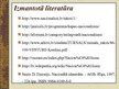 Prezentācija 'Nacionālisma pozitīvās un negatīvās iezīmes', 10.