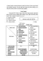 Referāts 'SIA "Stils" mārketinga vides un stratēģijas analīze', 18.